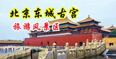 白虎操逼潮吹黄色网站中国北京-东城古宫旅游风景区